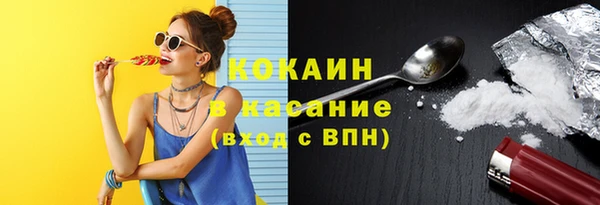 spice Инта